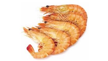 como cocinar marisco