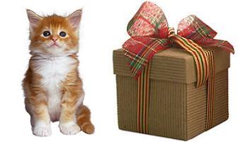 animales regalos Navidad