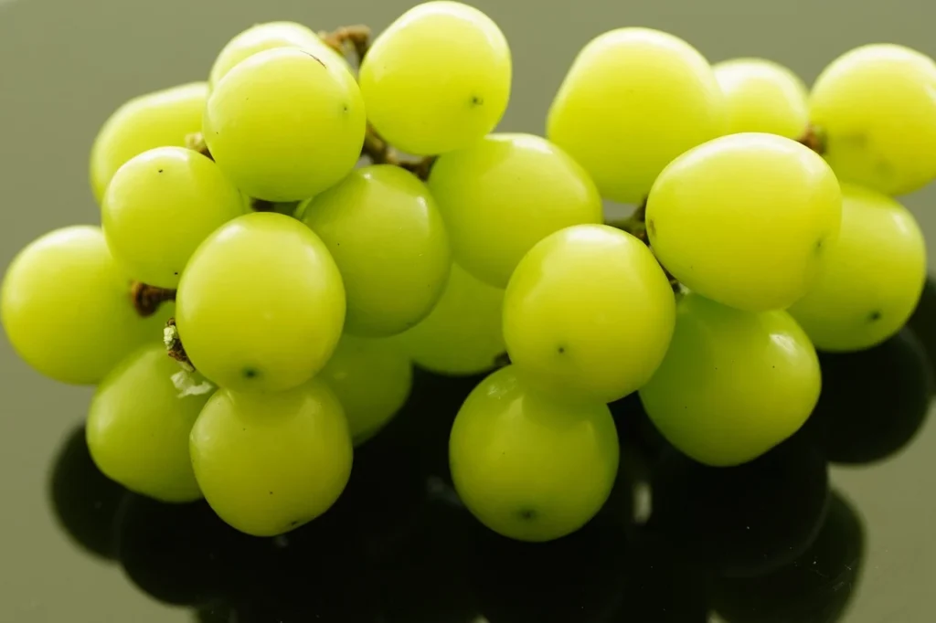 Racimo de uvas verdes sobre fondo oscuro